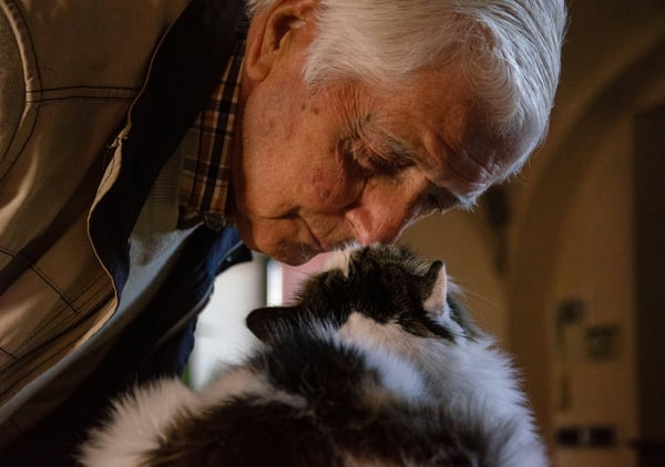 10 quiet ways your dog or cat shows their age
