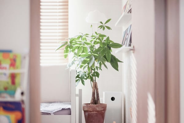 The 5 best purifiers for smoky air: Consumer Reports