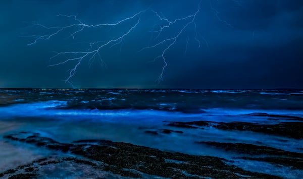 25 things that happen in the ocean that most people don't know about
