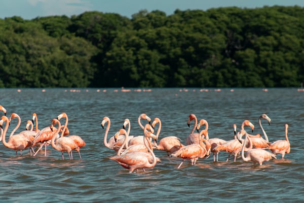 The best quiet beaches to visit in Mexico