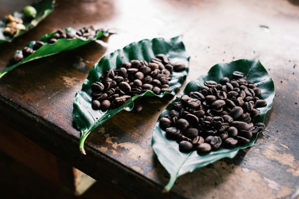 The best places to drink coffee in Costa Rica
