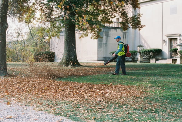 The 9 best battery leaf blowers of 2026, according to Consumer Reports